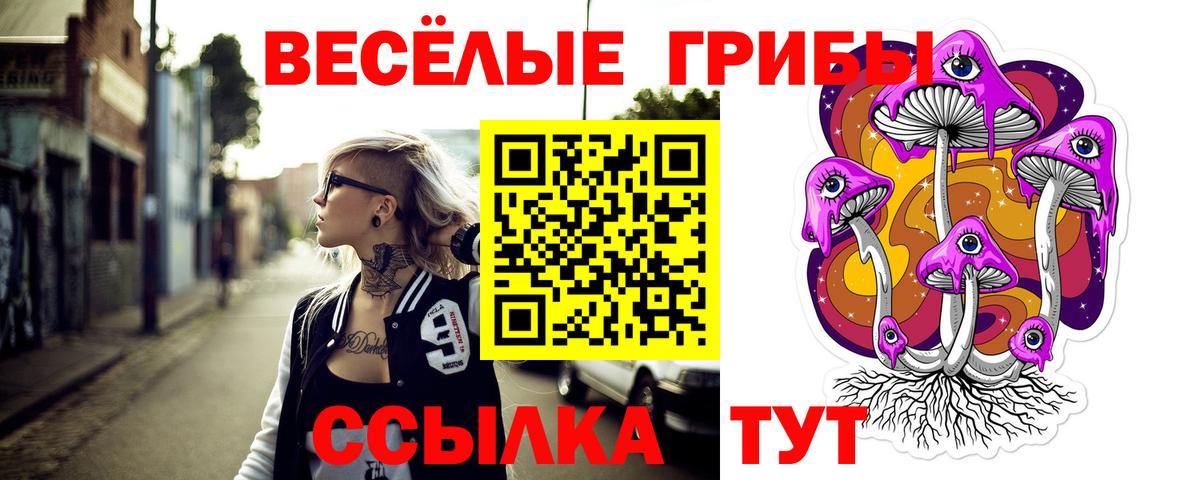 Псилоцибиновые грибы прущие грибы  Псилоцибиновые грибы Magic Shrooms  Вход с VPN  даркнет сайт  Домодедово 